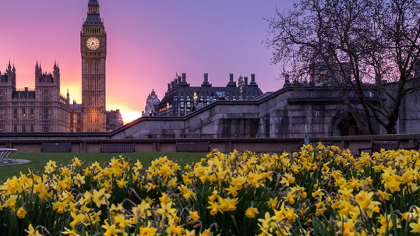 A look at the potential in the UK housing market