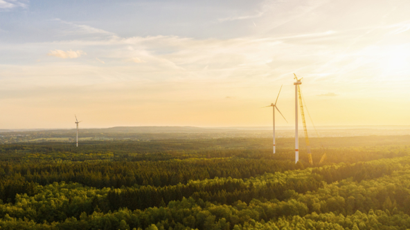 Tackling the climate crisis: how responsible investment can help