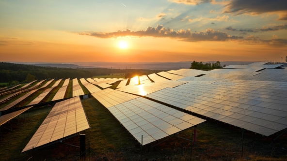 Darlington Point: exemplifying the investment impact of energy transition