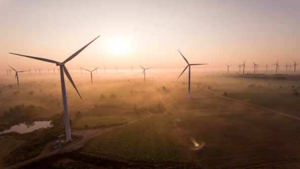 Nest joins us on the journey to a brighter future