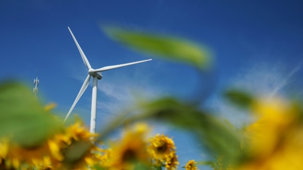 Investors beware: the twin dangers of demonstration capital and greenwashing