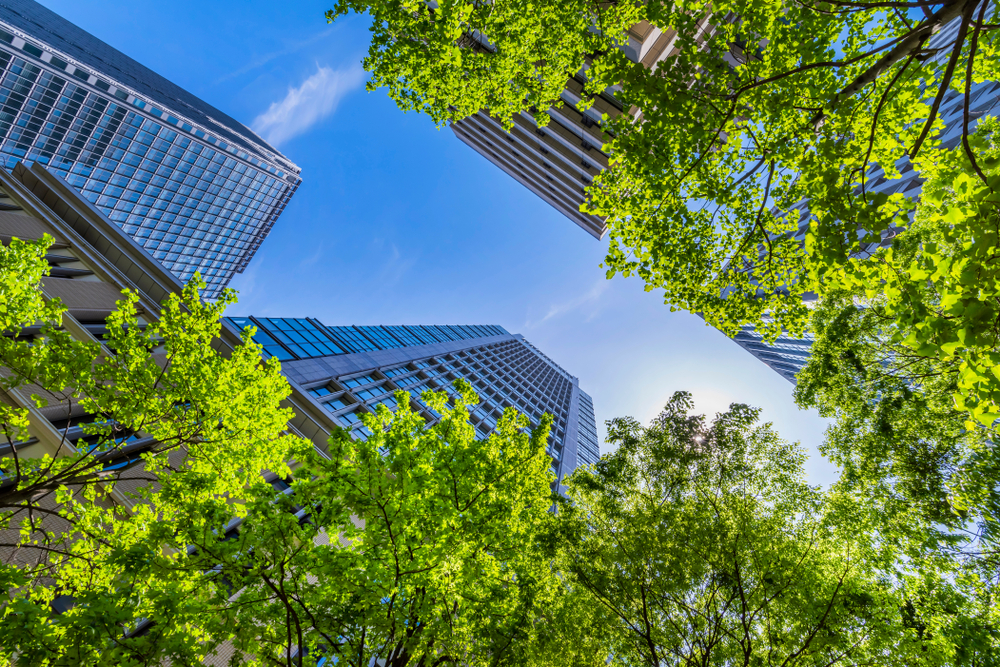 Green Real Estate