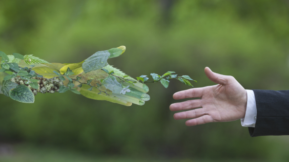 Nature and the economy: Investing in our natural capital for a sustainable future